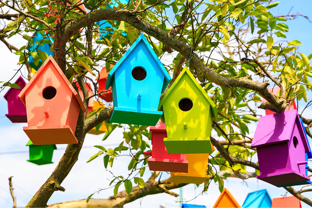 1511_CE_GatherGiveBack-BirdHouse-061626-web
