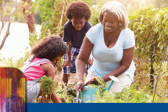 1172_C_Insights-Grandparents-051625-webemail