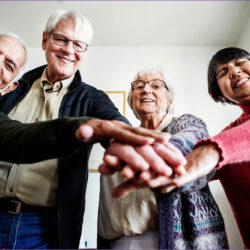 1670_CJEM_CatShelters-032326-web