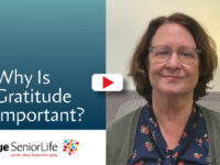 Gratitude-Screens-web
