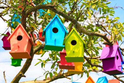 Birdhouses